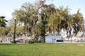 350. homosassa